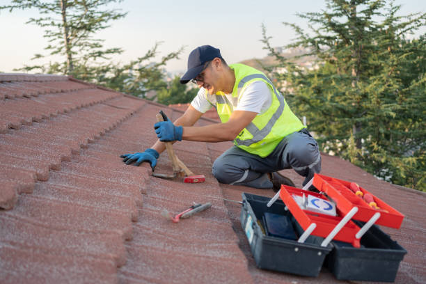 Best Storm Damage Roof Repair  in Alamo Heights, TX